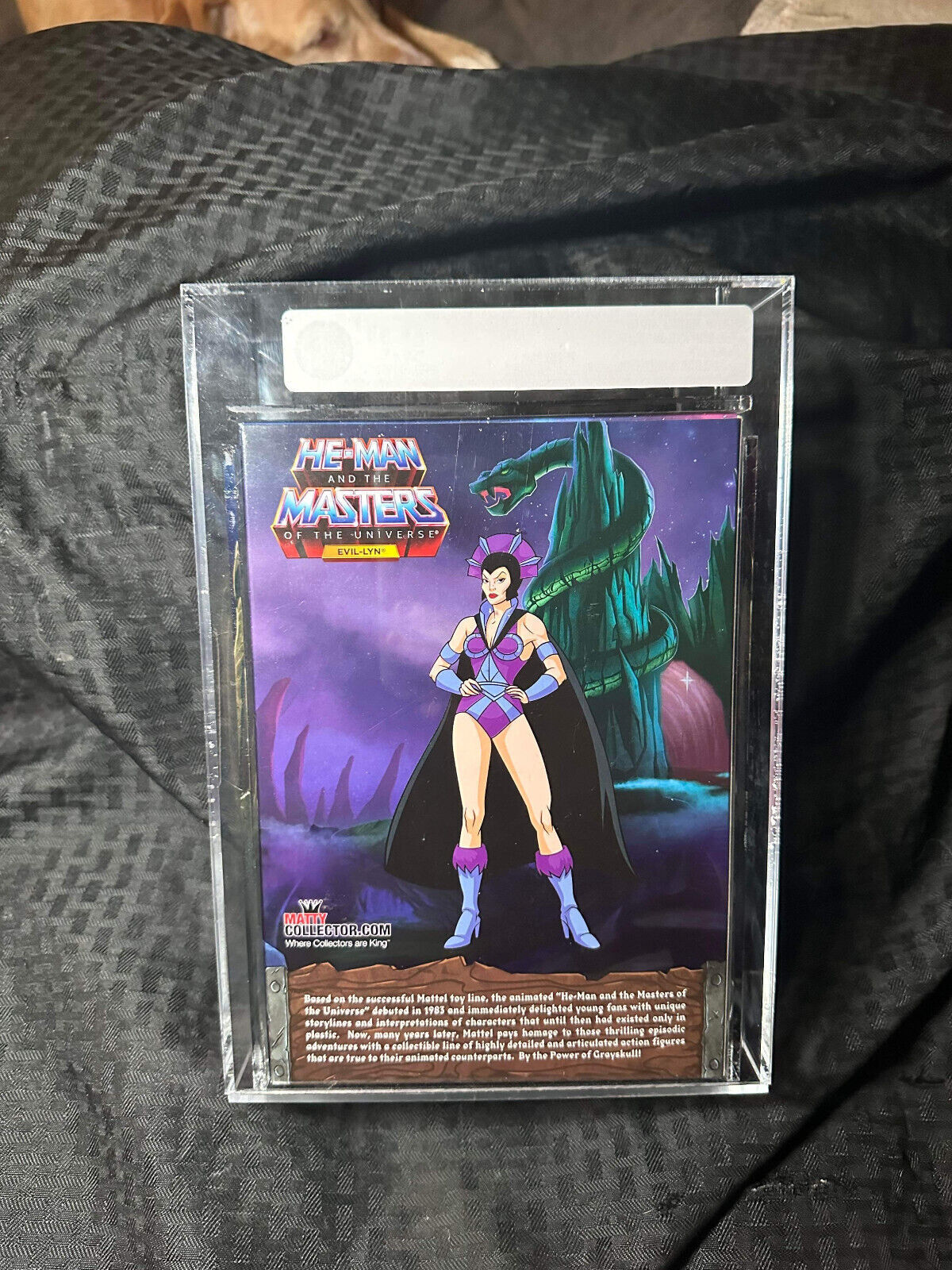 Masters of the Universe Club Grayskull Exclusive EVIL LYNN AFA 90 Action Figure