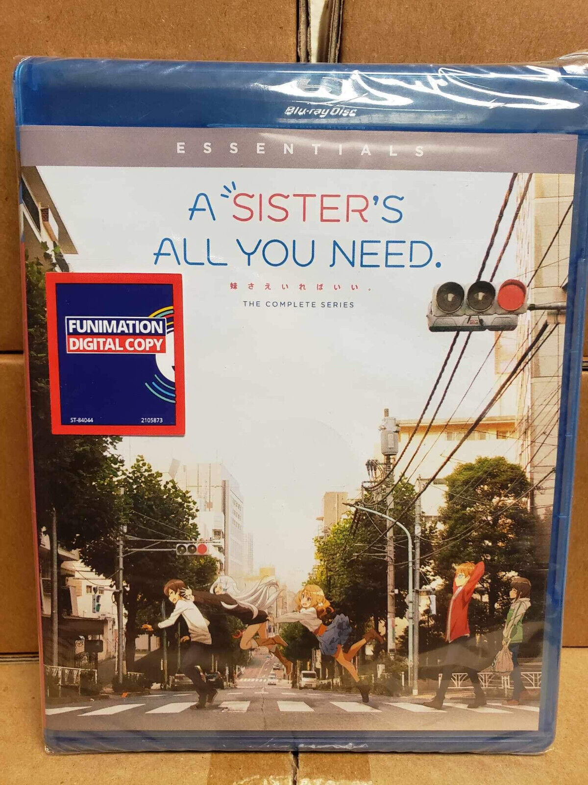 A Sister's All You Need: The Complete Series [New Blu-ray]